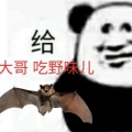 乐少的头像