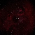 Xxx_的头像