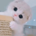 汐汐的头像