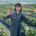 5201015的头像
