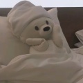 随安的头像