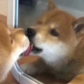 奕奕生辉的头像
