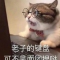 麻烦請丟掉的头像