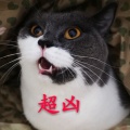 爱吃哈根达斯的喵~的头像
