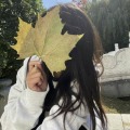 文潇湘的头像