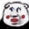 哈哈哈的头像