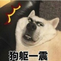 书友1303943084的头像