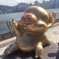 书友938027329的头像