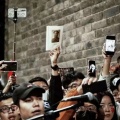 梦入浮桥的头像