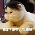 书友 737370802的头像