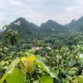 我很帅的帅的头像