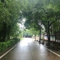 望自成龙的头像