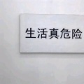 生活真危险的头像