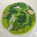 纵横寰宇的头像