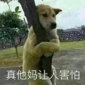 书友357539572的头像