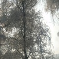 星空棒棒糖的头像
