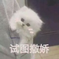 书友371070669的头像