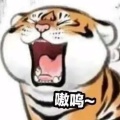 如期而至的头像