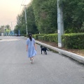 所念皆所愿的头像