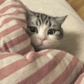 熙叶的头像