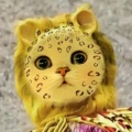loveJK的头像