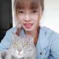 紫淚的头像