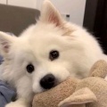书友 1708478044的头像