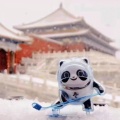 yangxi的头像