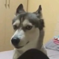 书友1627501179的头像