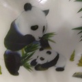 围城之中的头像