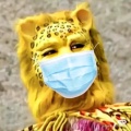 狂龙先生的头像
