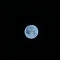 独钓寒江雪的头像