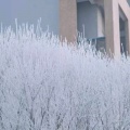 碧落深蓝的头像