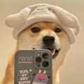 Monster.的头像