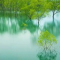 浮梦长桥的头像