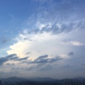清雨的头像