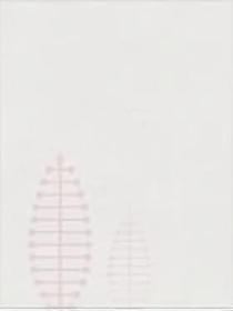 我为再世修仙录的封面