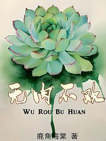 无肉不欢的封面