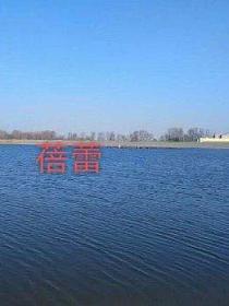 蓓蕾的封面