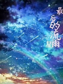 最后的流星雨的封面