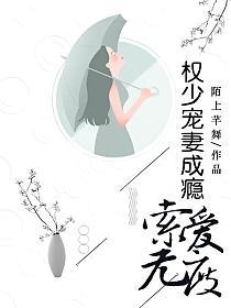 索爱无度：权少宠妻成瘾的封面