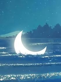 空洞骑士同人（奎若视角）的封面