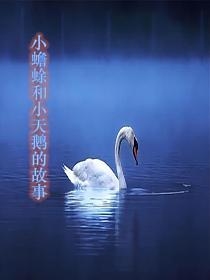 小蟾蜍和小天鹅的故事的封面