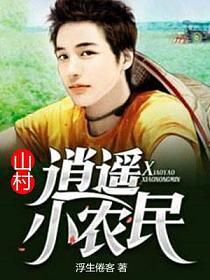 山村逍遥小农民的封面
