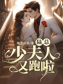 陆总，少夫人又跑啦的封面图