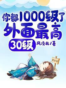 你都1000级了，外面最高30级的封面