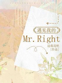 遇见我的Mr.Right的封面
