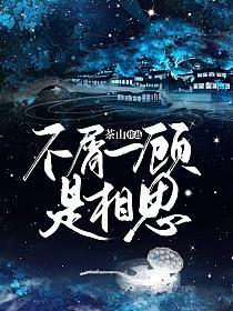 不屑一顾是相思的封面