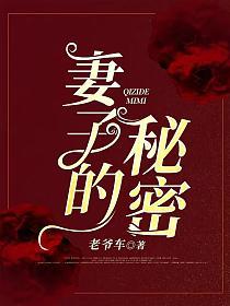 妻子的秘密的封面