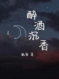 醉酒沉香的封面